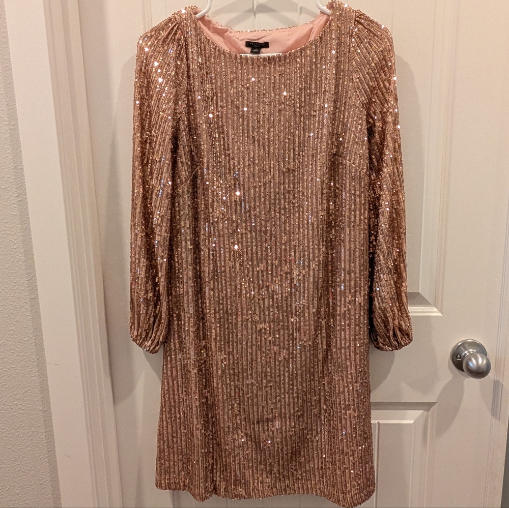 Ann Taylor Rose Gold Sequin Dress